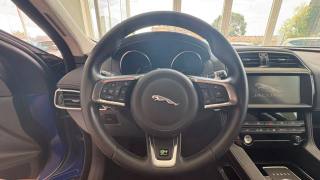 JAGUAR F-Pace usata, con ESP
