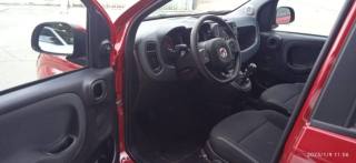 FIAT Panda Cross usata, con ESP