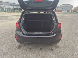 FORD Fiesta usata 14