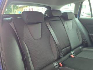 SKODA Octavia usata 122