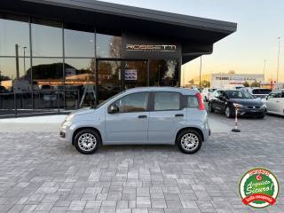 FIAT Panda usata, con Airbag Passeggero