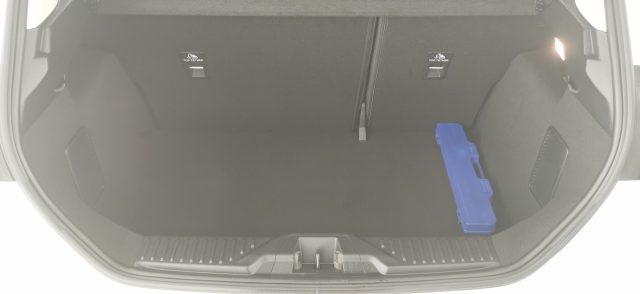 FORD Fiesta usata, con USB