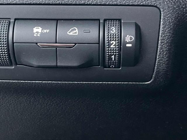 DR MOTOR DR 5.0 usata, con Cruise Control