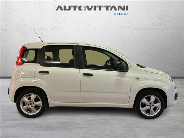 FIAT Panda usata 4