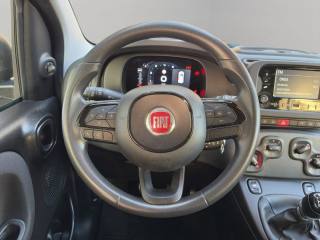 FIAT Panda usata, con Sedili sportivi