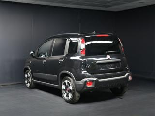 FIAT Panda Cross usata, con Chiusura centralizzata