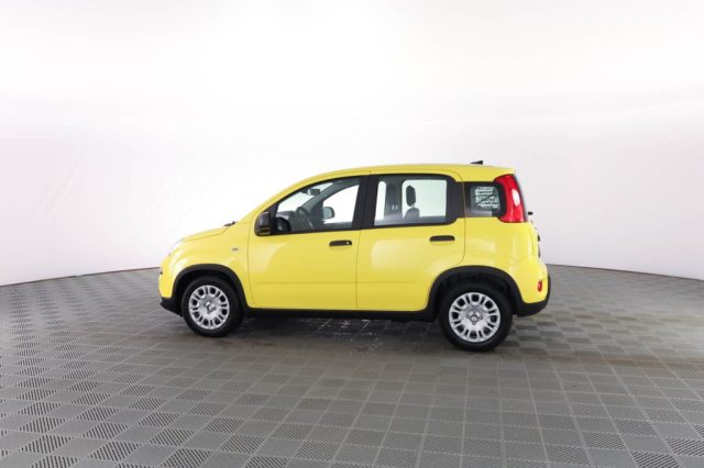FIAT Panda usata 5