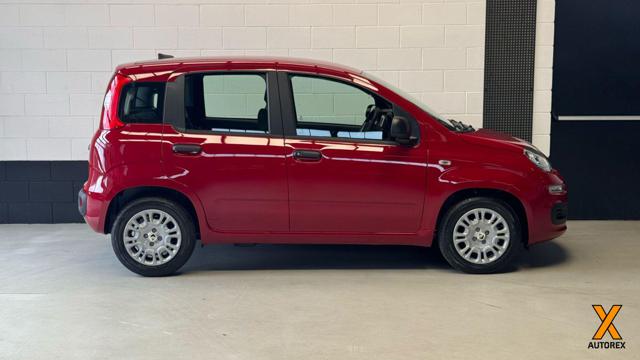 FIAT Panda usata, con Alzacristalli elettrici