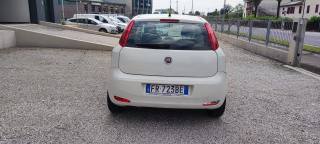 FIAT Punto usata, con Controllo trazione