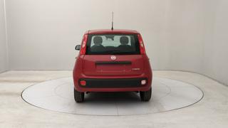 FIAT Panda usata, con Airbag Passeggero