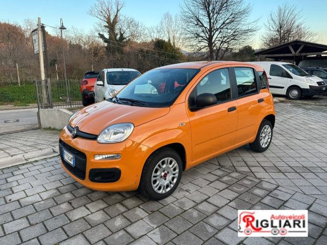 FIAT Panda usata 4