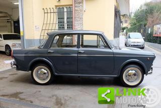 FIAT 1100 usata 5