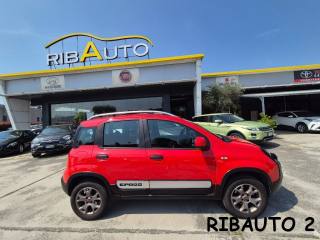 FIAT Panda Cross usata, con Specchietti laterali elettrici