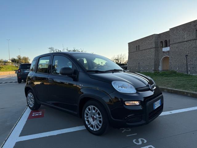 FIAT Panda usata 32