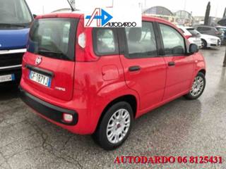 FIAT Panda usata, con Servosterzo