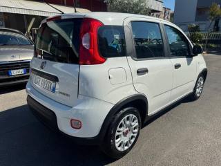 FIAT Panda usata, con Alzacristalli elettrici