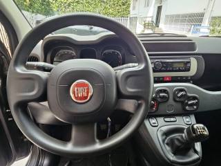 FIAT Panda usata, con Boardcomputer