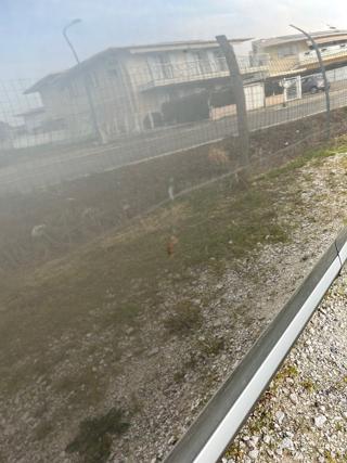 PORSCHE Cayenne usata, con Immobilizzatore elettronico