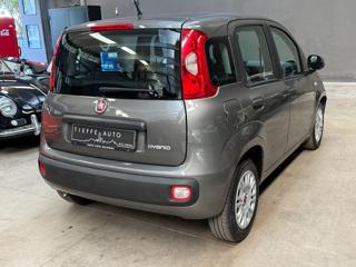 FIAT Panda usata, con Alzacristalli elettrici
