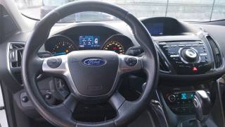 FORD Kuga usata, con Cronologia tagliandi