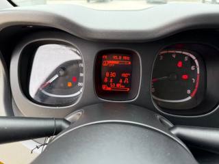FIAT Panda usata 21