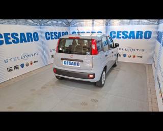 FIAT New Panda usata, con Airbag Passeggero
