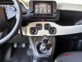 FIAT Panda usata 14