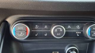 ALFA ROMEO Stelvio usata, con Fendinebbia