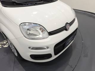 FIAT New Panda usata, con Controllo elettronico della corsia