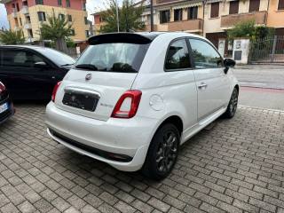 FIAT 500 usata 4