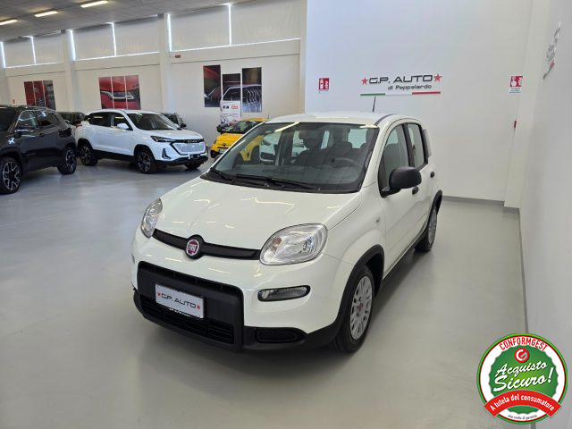 FIAT Panda usata, con Airbag Passeggero