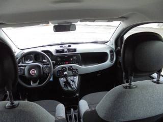 FIAT Panda usata 17