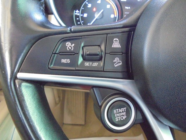 ALFA ROMEO Stelvio usata 49