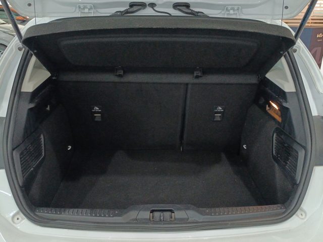 FORD Focus usata, con Fendinebbia