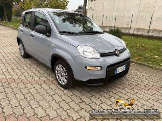 FIAT Panda usata, con Airbag