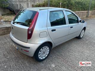 FIAT Punto usata 12