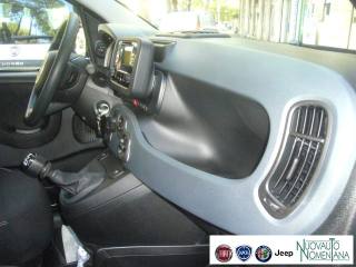 FIAT Panda usata 25