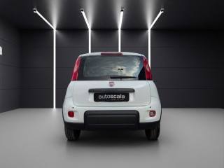 FIAT Panda usata, con Alzacristalli elettrici