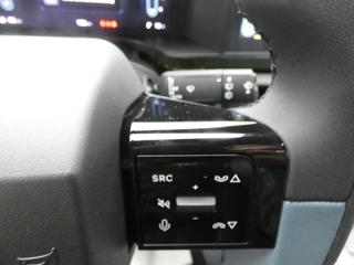 FIAT Grande Panda usata, con Cruise Control