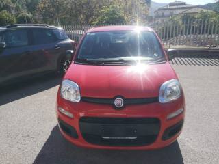 FIAT Panda usata, con Alzacristalli elettrici