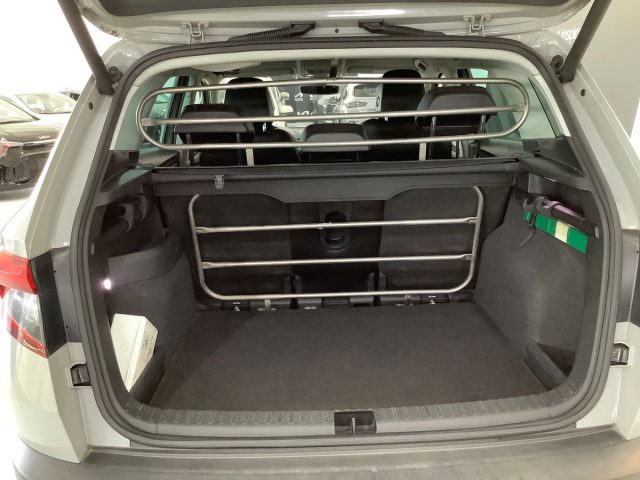 SKODA Karoq usata, con Fendinebbia