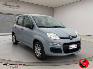 FIAT Panda usata, con Airbag Passeggero