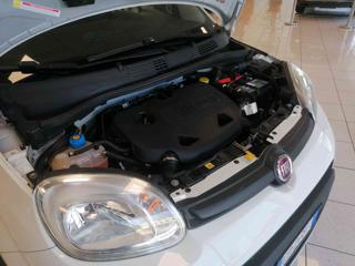 FIAT Panda usata 39