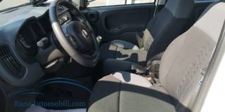 FIAT Panda usata, con Climatizzatore