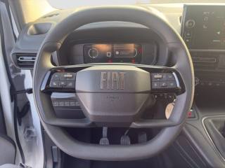 FIAT Other usata 9
