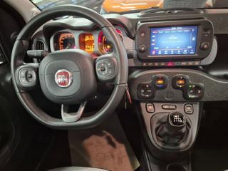 FIAT Panda Cross usata, con Controllo automatico clima