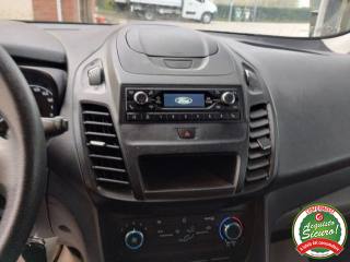 FORD Transit Connect usata 13