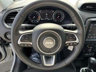 JEEP Renegade usata, con Boardcomputer