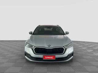 SKODA Octavia usata 7