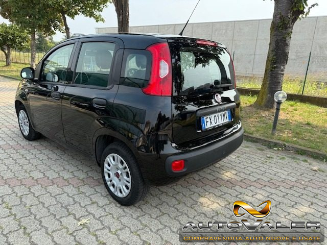 FIAT Panda usata, con Alzacristalli elettrici